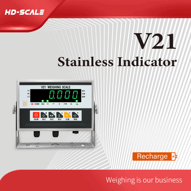V21 Stainless Indicator